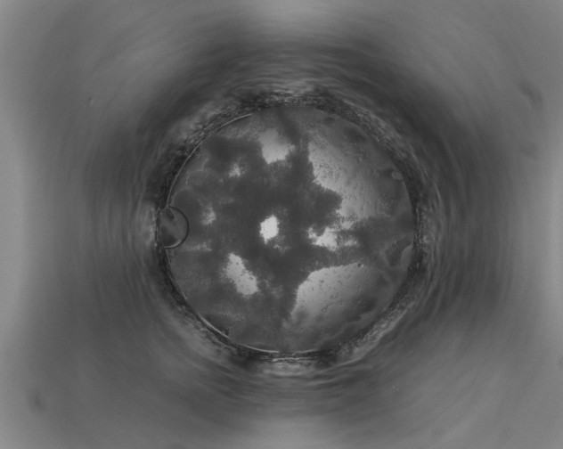 X0000113600758200909251156