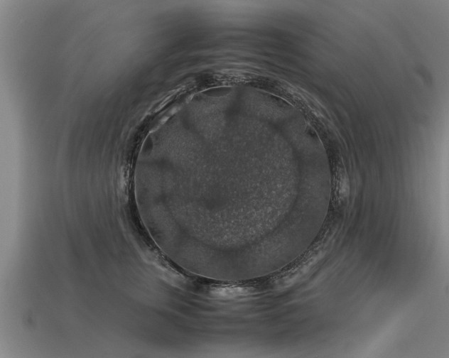 X0000113600759200909251156