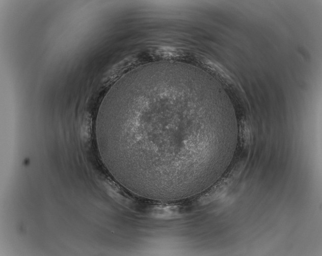 X0000113600760200909251156