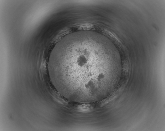 X0000113600761200909251156