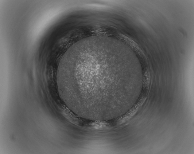 X0000113600762200909251156