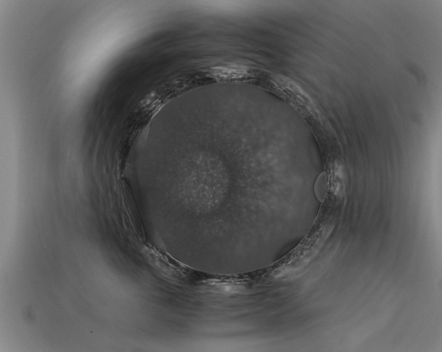 X0000113600763200909251156