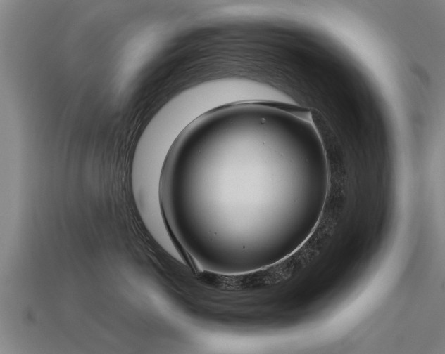 X0000113600766200909251156