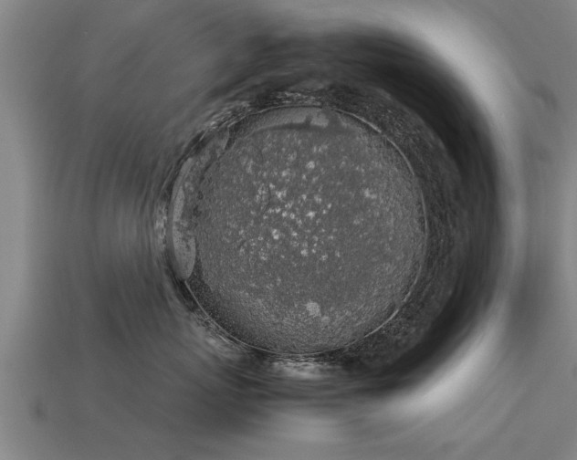 X0000113600767200909251156