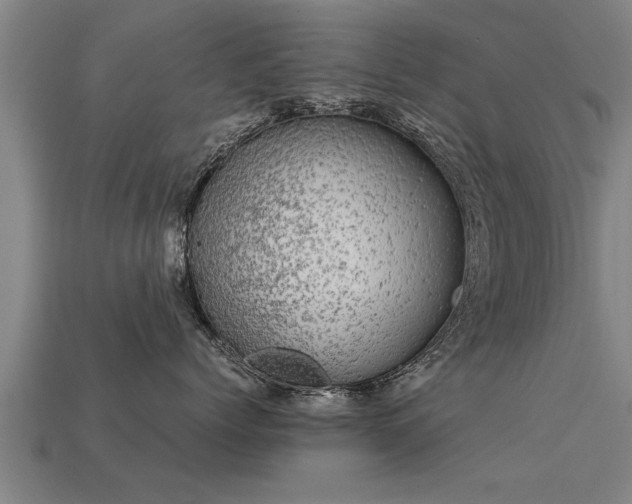 X0000113600768200909251156