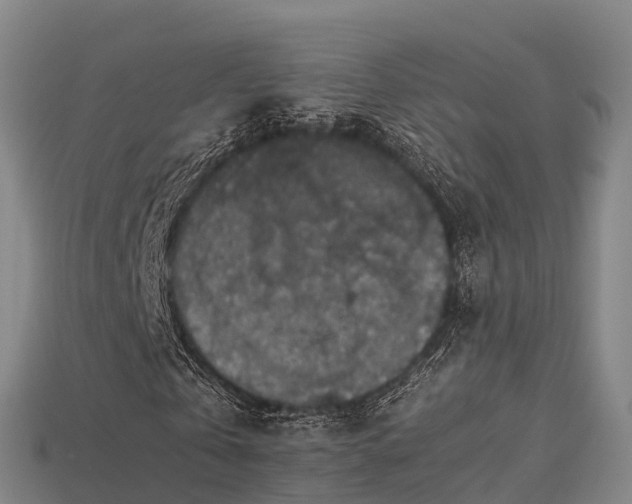 X0000113600769200909251155