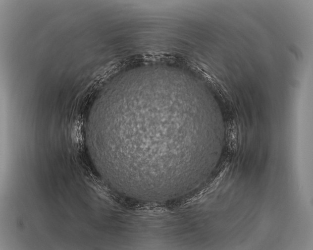 X0000113600770200909251155