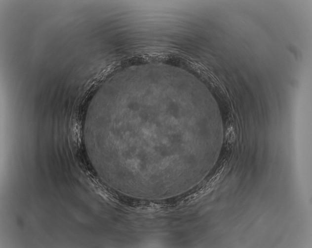 X0000113600772200909251155