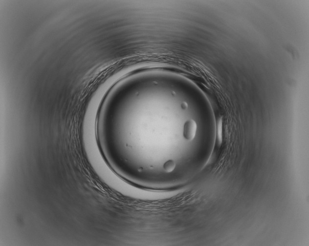 X0000113600773200909251155