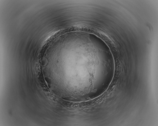 X0000113600776200909251155