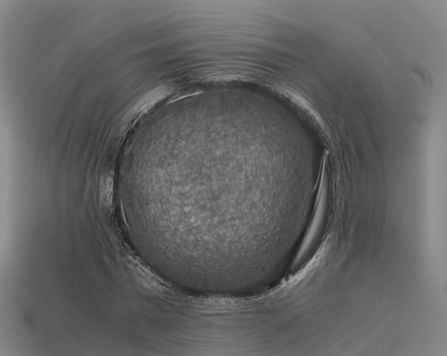 X0000113600777200909251155