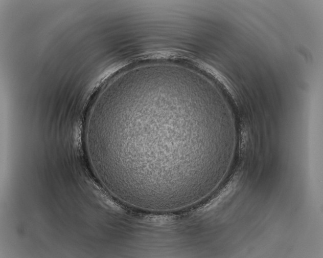 X0000113600778200909251155