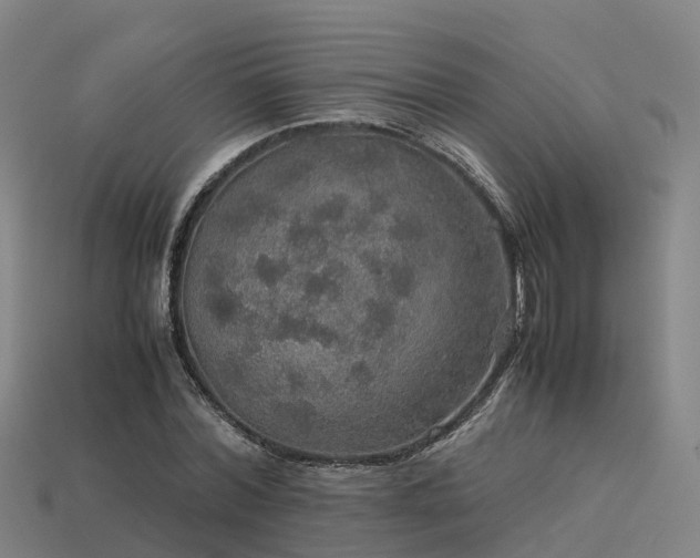 X0000113600780200909251155