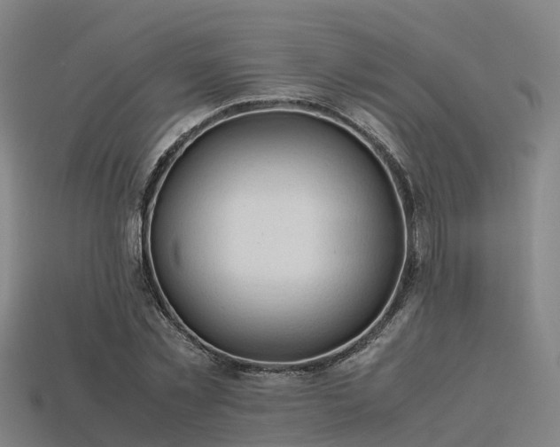 X0000113600781200909251155