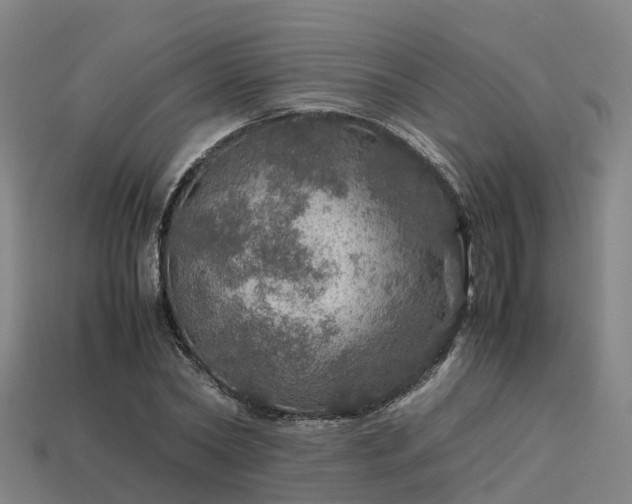 X0000113600782200909251155