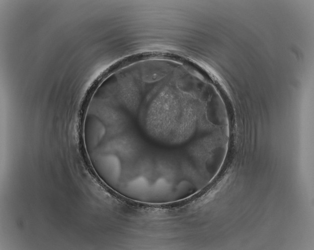 X0000113600783200909251155