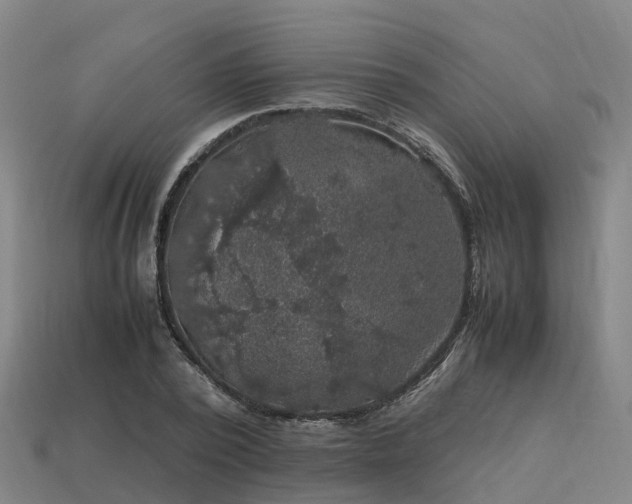 X0000113600784200909251155