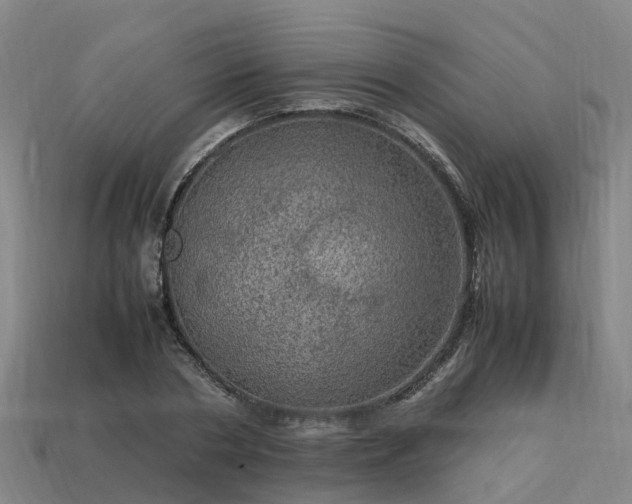 X0000113600786200909251155