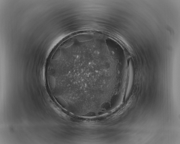 X0000113600788200909251155