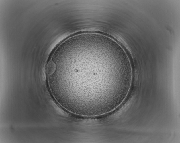 X0000113600789200909251155