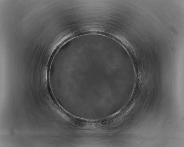 X0000113600790200909251155