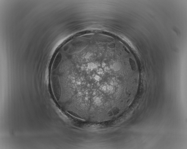 X0000113600791200909251155