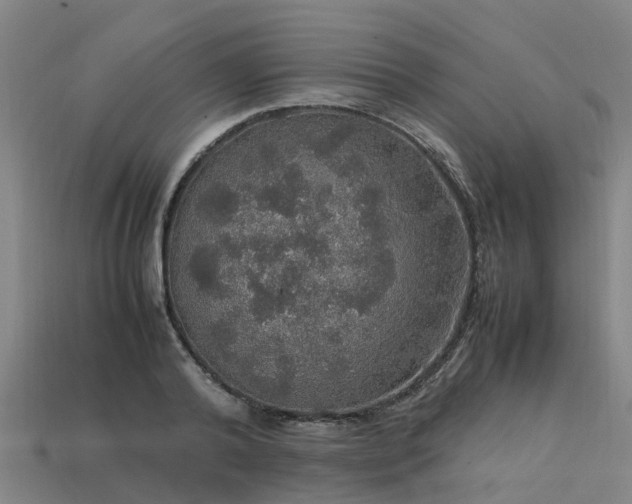 X0000113600792200909251155