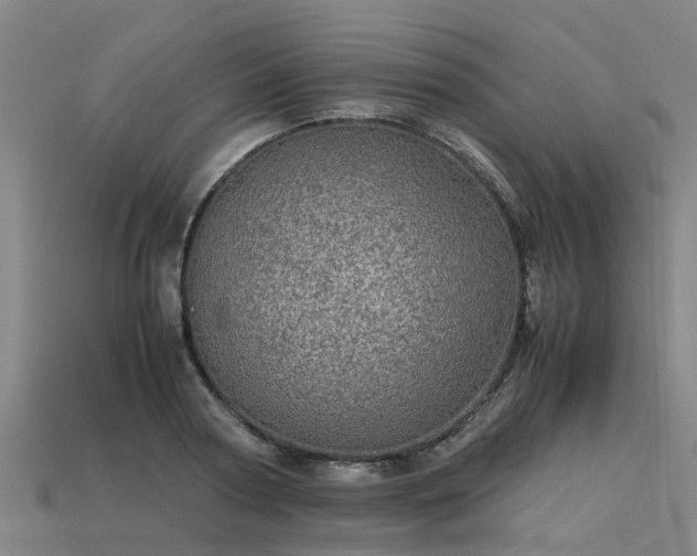 X0000113600794200909251155