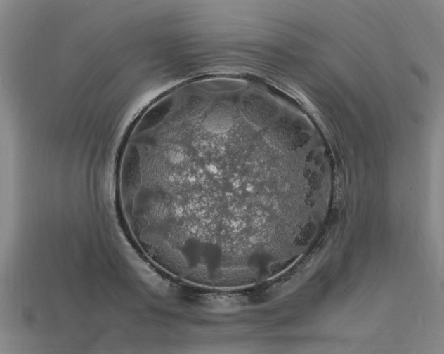 X0000113600795200909251155