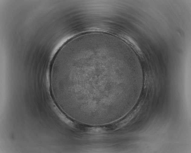 X0000113600796200909251155