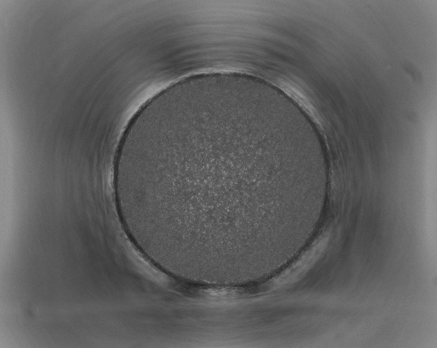 X0000113600797200909251155