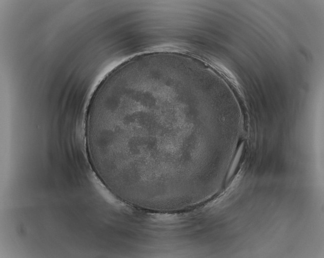 X0000113600800200909251155