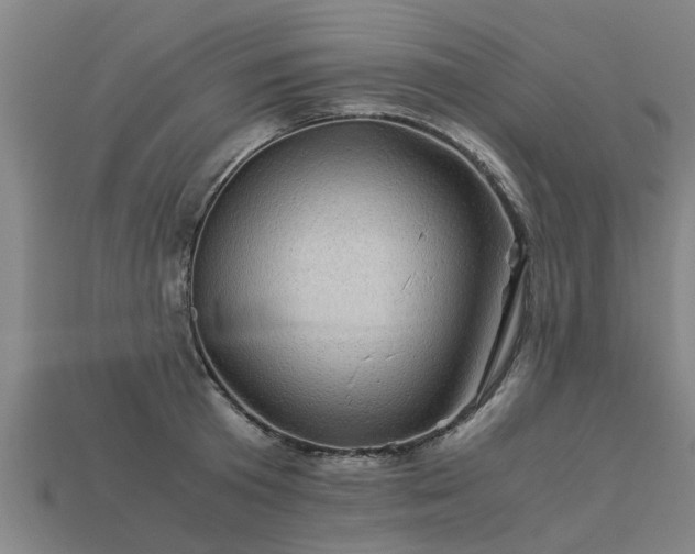 X0000113600801200909251155