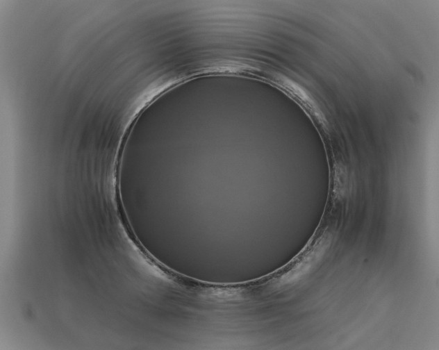 X0000113600802200909251155