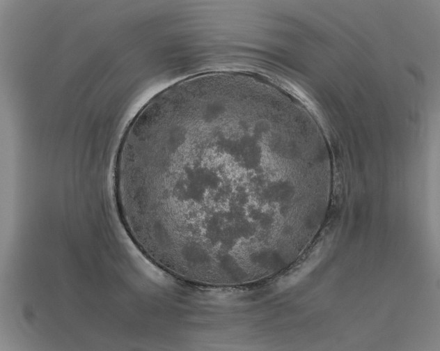 X0000113600803200909251155