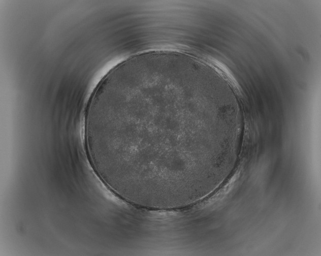 X0000113600804200909251155