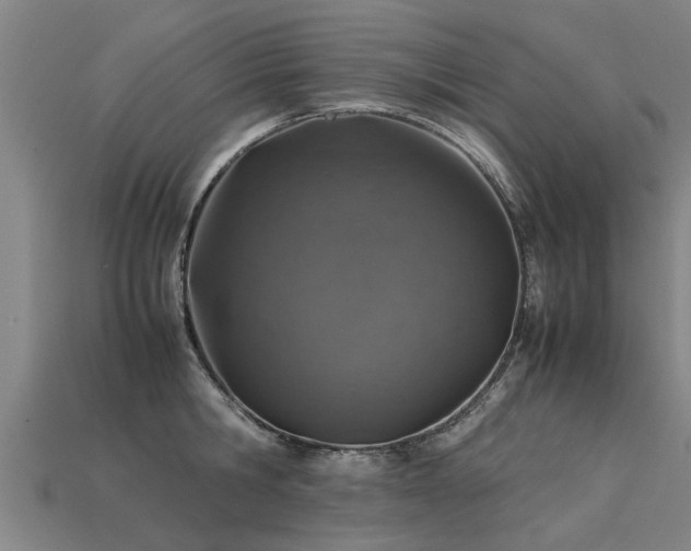 X0000113600806200909251155