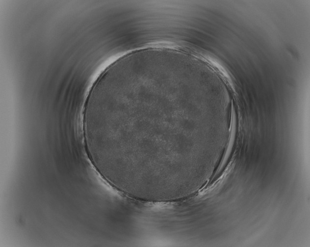 X0000113600808200909251155