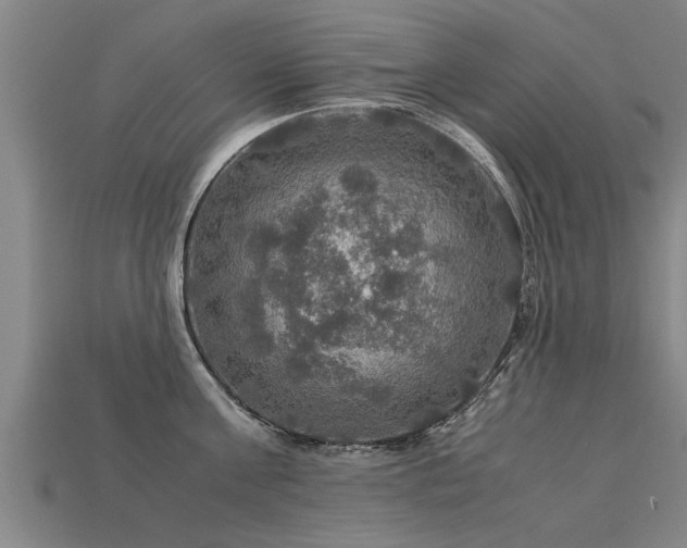 X0000113600811200909251155