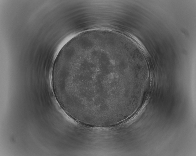 X0000113600812200909251155