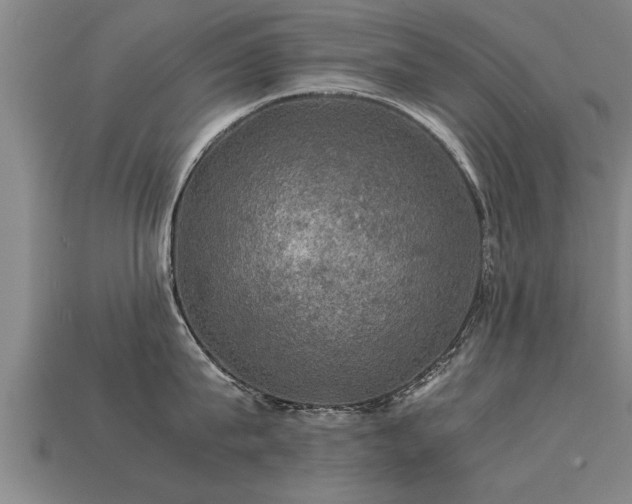 X0000113600815200909251155