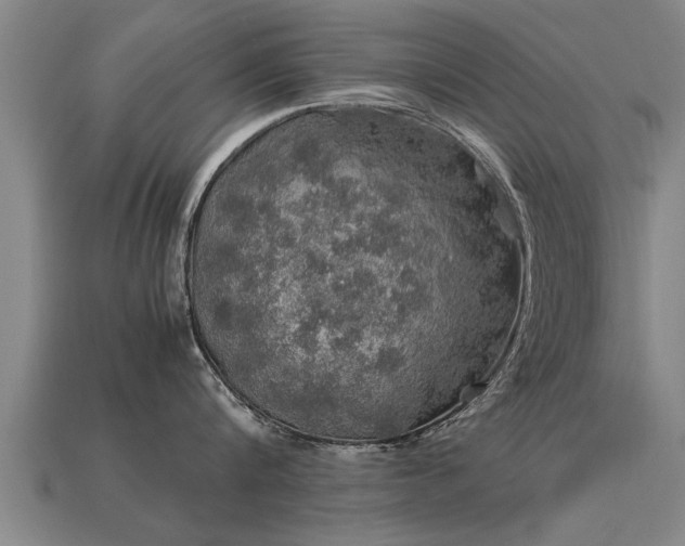 X0000113600816200909251155