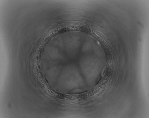 X0000113600817200909251154