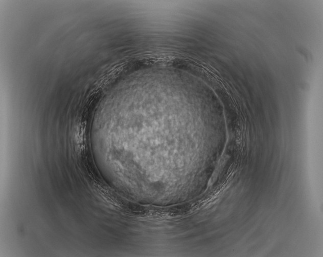 X0000113600818200909251154