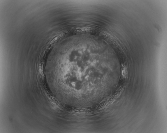 X0000113600819200909251154