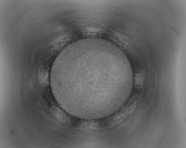 X0000113600820200909251154