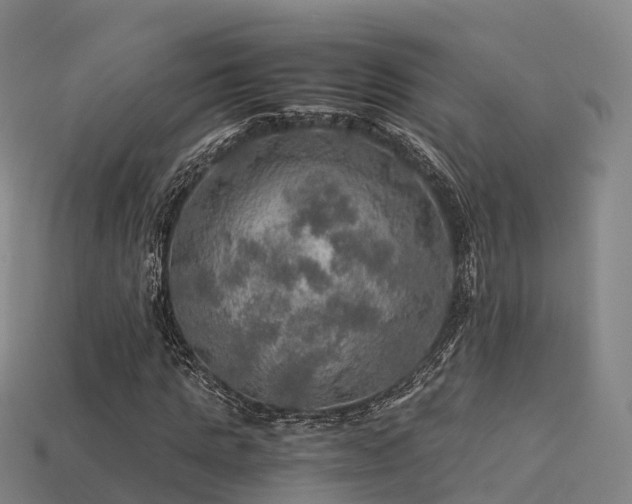 X0000113600821200909251154