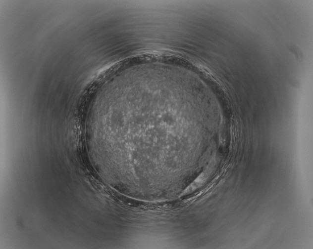 X0000113600822200909251154