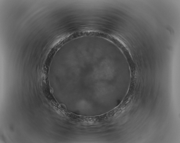 X0000113600823200909251154