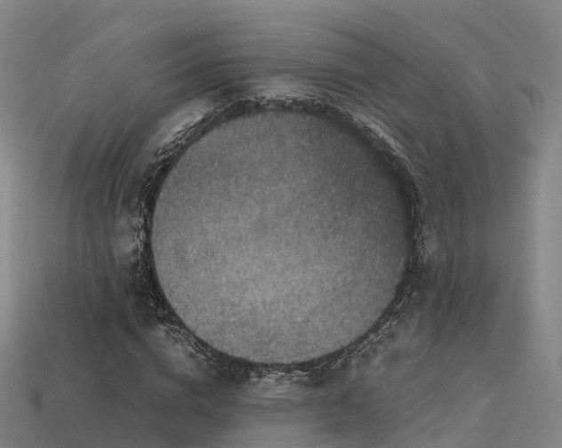 X0000113600824200909251154